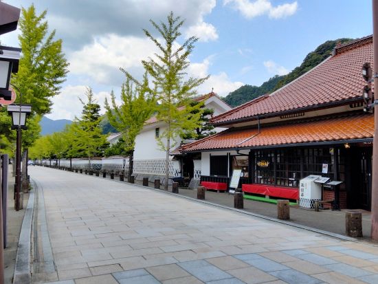 津和野タクシー観光 津和野早回り 日本遺産の町を散策＜2時間／最大9名様まで／津和野発＞by koikoiタクシー