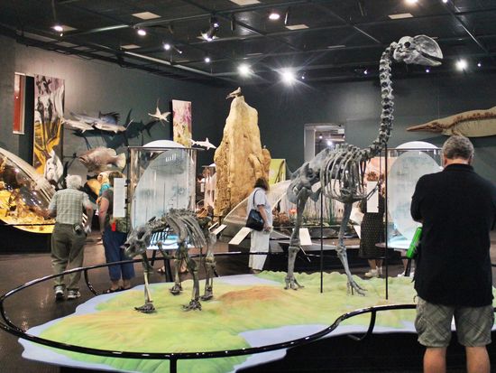 Museum-and-Art-Gallery-TourismNT-119258