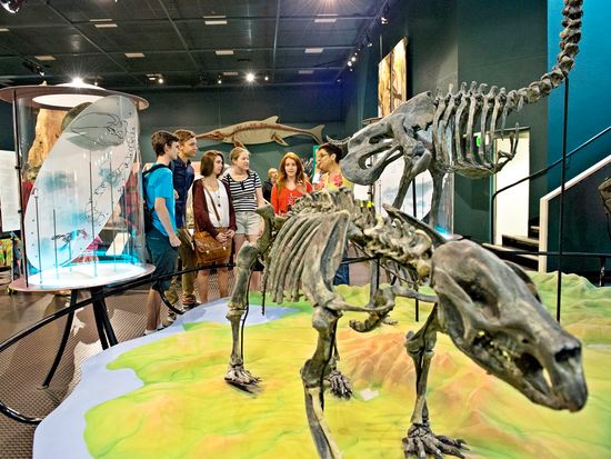 Museum-and-Art-Gallery-TourismNT-119269