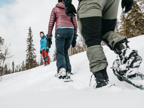 初心者歓迎！ラップランドでスノーシュー体験 静寂の銀世界を歩く＜12～4月初旬／火・金／午後／ロヴァニエミ発＞