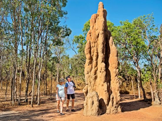 Termite_Mound_Litchfield-TourismNT-125578-56
