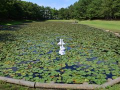 Japan_Miyazaki_Misogiike_pixta_15433915_XL