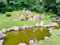 IMG20220713144623