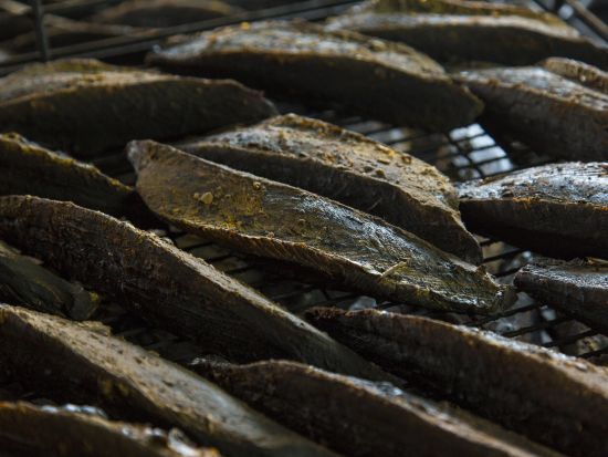 鰹節製造工程見学体験 !本枯節を自分で削って茶ぶしづくりも体験できる ＜約1.5時間／指宿市＞　by NPO法人 指宿観光&体験の会