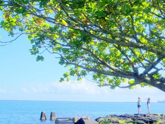 ハワイ島世界遺産キラウエア火山日帰りツアー　溶岩ウォークとハワイ島島内観光 by H.I.S. ＜弁当昼食付き＞