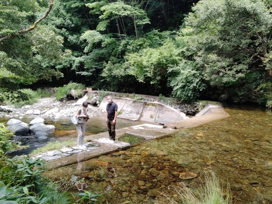 益田貸切観光タクシー 緑豊かな匹見エリアを観光 田舎の「自然」コース＜4時間／1-9名／益田市内、萩・石見空港発＞by マスタク