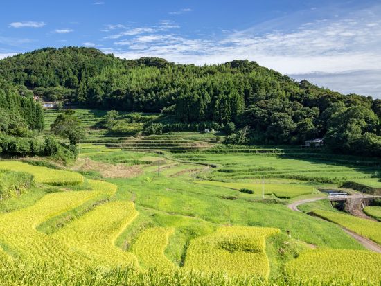 益田貸切観光タクシー 益田の絶景スポットにご案内＜1時間30分／1-9名／益田市内、萩・石見空港発＞by マスタク