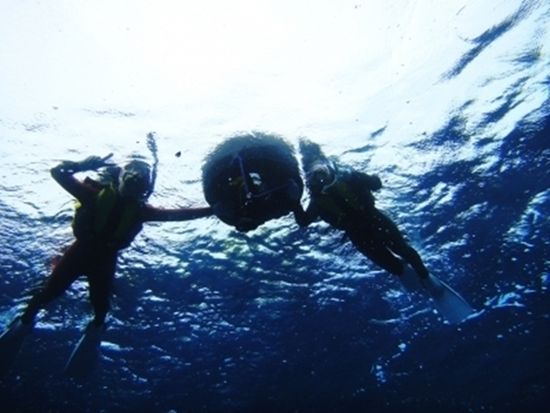 RDqf6EmQ_plan_image_2