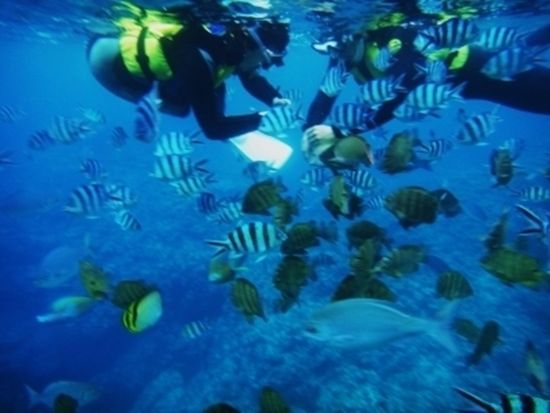 HWTjPiUw_plan_image_2