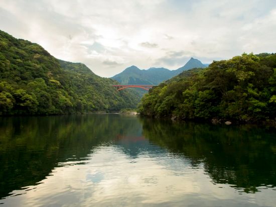 屋久島で心に残る1番の思い出を！安房川カヤック半日ツアー 初心者歓迎・女性ガイド同行 ＜午前 or 午後3時間／貸切オプションあり／写真データ付き＞