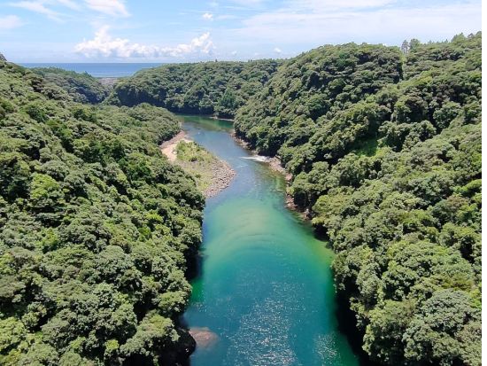 【貸切】安房川リバーカヤック＆島内観光ツアー 屋久島の自然を満喫！写真データプレゼント ＜1日＞ by 屋久島リバーカヤックebis