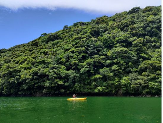 屋久島で心に残る1番の思い出を！安房川カヤック半日ツアー 初心者歓迎・女性ガイド同行 ＜午前 or 午後3時間／貸切オプションあり／写真データ付き＞