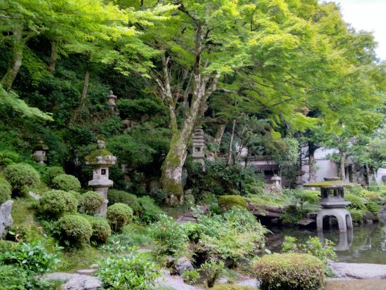 津和野タクシー観光 堀庭園コース 国指定名勝と酒蔵見学＜2時間／最大9名様まで／津和野発＞by koikoiタクシー