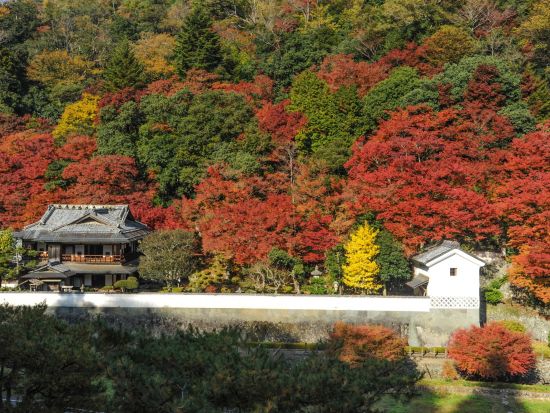 津和野タクシー観光 堀庭園コース 国指定名勝と酒蔵見学＜2時間／最大9名様まで／津和野発＞by koikoiタクシー
