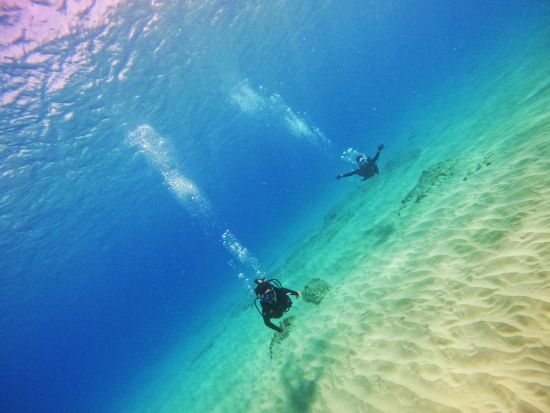 体験ダイビング 透明度抜群の西オアフの海でビーチダイビング！少人数制で安心♪　貸切プランもご用意＜ビーチ／1～2ダイブ＞by ハウオリオーシャンスタイル