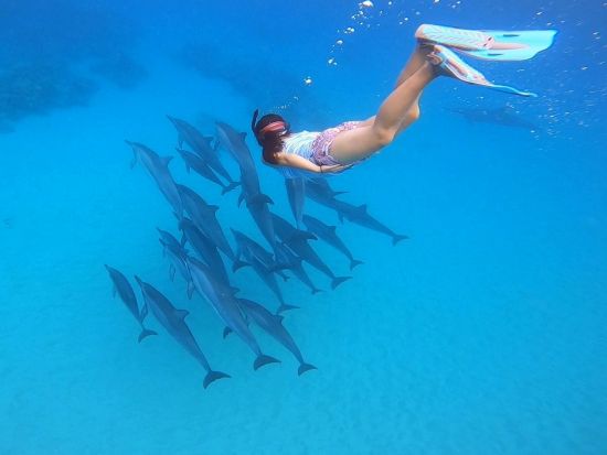 少人数制スキンダイビングツアー　初心者OK！透明度抜群の西オアフで、海と一体となって自由に泳ぐ素潜り体験＜ビーチエントリー／日本語インストラクター／送迎付き＞