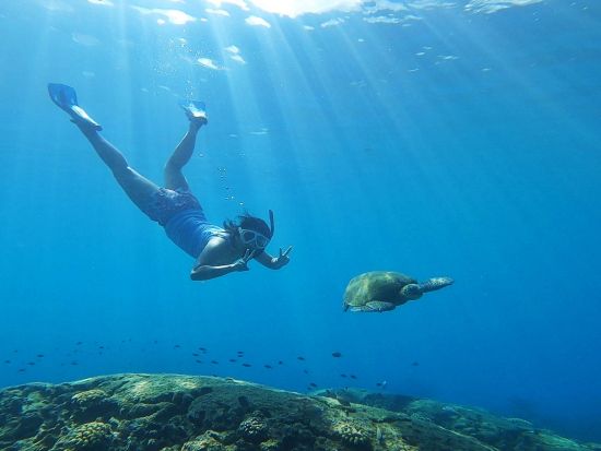 少人数制スキンダイビングツアー　初心者向け！ワイキキ沖のウミガメ生息ポイントで素潜り体験＜ボートエントリー／日本語インストラクター／送迎付き＞