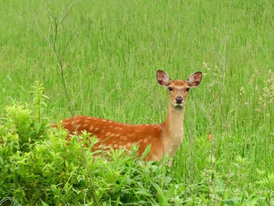 108367697_12034489641225