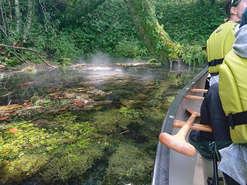 299333382_1048318565862823_3760725838745689240_n