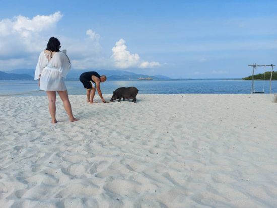 【サムイ発】スピードボートで行くアイランド・ホッピング☆ タン島&マットサム島　＜終日／ホテル送迎付／日本語ガイド選択可＞