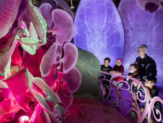 カリフォルニア科学アカデミー　入場チケット