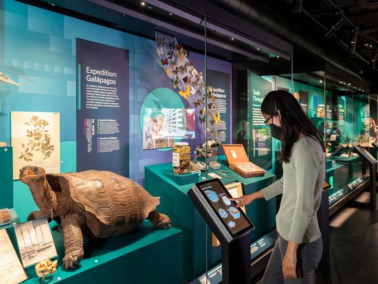 HiddenWonders_MG_5072-Edit_GL_CAS