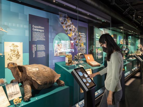 カリフォルニア科学アカデミー 　入場チケット＆裏側見学ツアー ＜英語ガイド＞