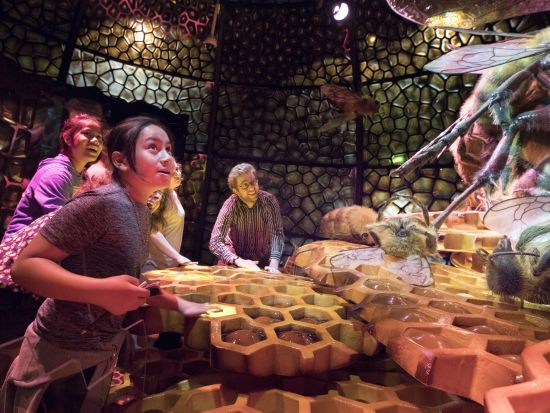 カリフォルニア科学アカデミー　入場チケット