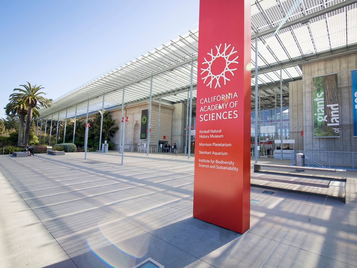 カリフォルニア科学アカデミー 入場チケット＆裏側見学ツアー ＜英語