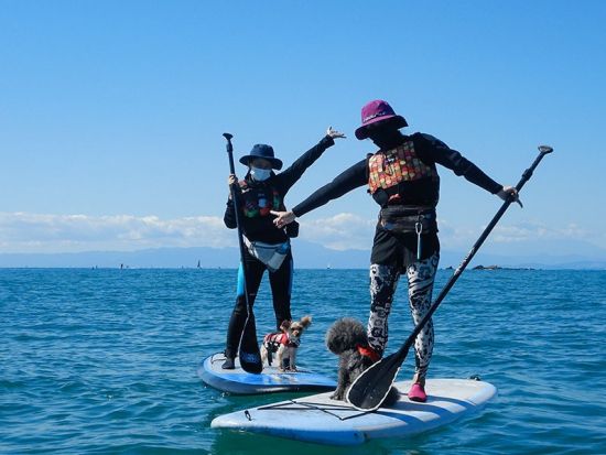 湘南・葉山 SUP体験 きれいな海でSUPデビューしよう＜2時間／1名～／葉山・秋谷＞byコア アウトフィッターズ