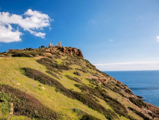 海岸ドライブとポセイドン神殿、スニオン岬半日観光ツアー＜午後／英語ガイド／アテネ発＞