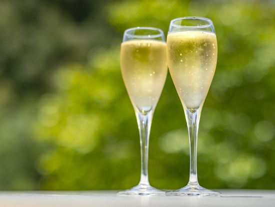 シャンパーニュ地方　日本人ソムリエガイドと行く2軒のRMシャンパーニュメゾン(自家栽培醸造家)訪問　プライベートツアー＜土日／試飲込／1～8名／エペルネ発着＞