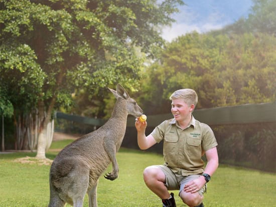 オーストラリア動物園（Australia ZOO）往復送迎ツアー！迫力満点のクロコダイルショーは必見＜ゴールドコースト発着＞