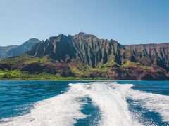 shutterstock_1527664628
