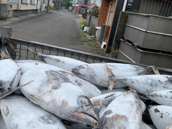 鰹節製造工程見学体験 !本枯節を自分で削って茶ぶしづくりも体験できる ＜約1.5時間／指宿市＞　by NPO法人 指宿観光&体験の会