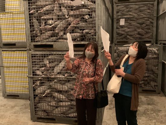 鰹節製造工程見学体験 !本枯節を自分で削って茶ぶしづくりも体験できる ＜約1.5時間／指宿市＞　by NPO法人 指宿観光&体験の会