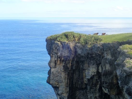 乗馬体験 「与那国馬」に乗ってトレッキング 与那国唯一の島ガイドがご案内 初心者も安心のミニレッスン付プランあり＜与那国島＞