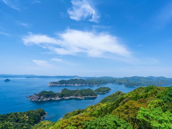 上五島貸切観光タクシー　奈良尾のあこう樹＋米山展望台＋桐教会＋若松大橋＋龍観山展望所＋極楽寺＋土井ノ浦教会＜3時間／若松島 中通島・新上五島町＞by若松タクシー