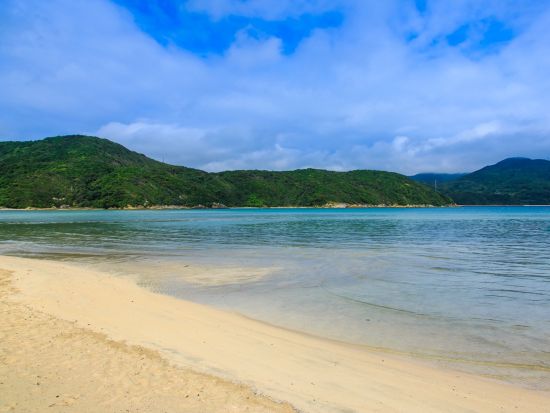 上五島貸切観光タクシー　奈良尾のあこう樹＋日島の石塔群＋中ノ浦教会＋頭ヶ島天主堂＋蛤浜＋鯛ノ浦教会＋青砂ヶ浦天主堂など ＜8時間／新上五島町＞ by若松タクシー