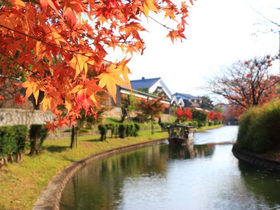 【酒蔵試飲ツアー】25種類以上の日本酒が試飲可！日本有数の銘醸地・伏見の酒蔵を巡る3時間プラン　1グループ貸切プランあり＜午後発／日本語（英語）ガイド／伏見＞