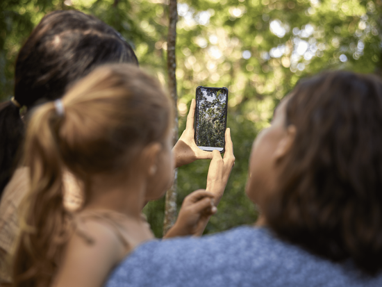 世界遺産キュランダ（往復スカイレール）ガイドなしの自由探索プラン！行きたい場所を自分のペースで満喫＜往復送迎付き＞の写真5