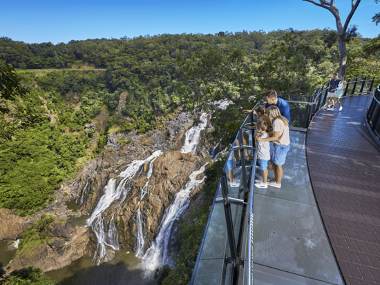 Skyrail Rainforest Cableway family at The Edge Lookout with Barron Falls in view.png