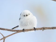 pixta_77659907_M