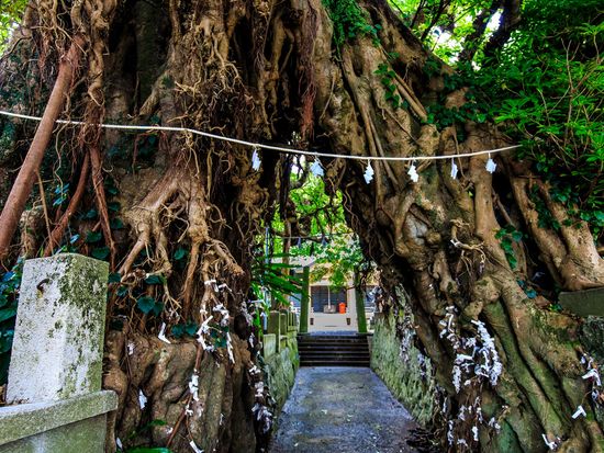 Japan_Nagasaki_Gotorettou_Narao_pixta_75622488_XL