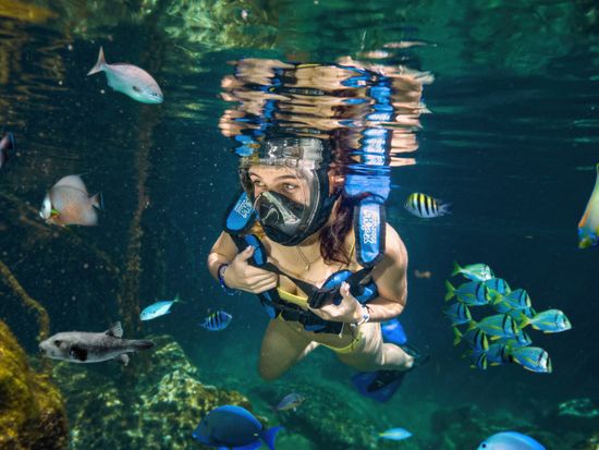 mascara_0006_040_XELHAMASCARA_copy