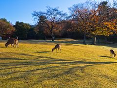 pixta_18540395_M