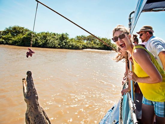 Croc jumping on the Adelaide River_125869-56