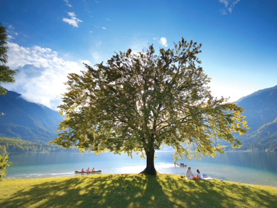 アルプスの瞳・ブレッドとボーヒン湖 1日観光ツアー 中世の町シュコーフィア・ロカにも立ち寄り＜4月～10月／英語／リュブリャナ発＞