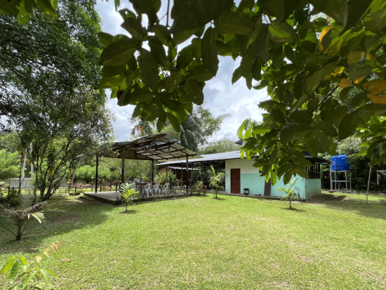 キウル川ラフティングツアー ゆるやかな川で楽しく川下り！＜昼食付／英語ガイド／コタキナバル発＞