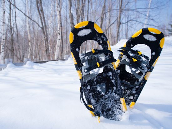 pixta_9897208_M＿使用不可